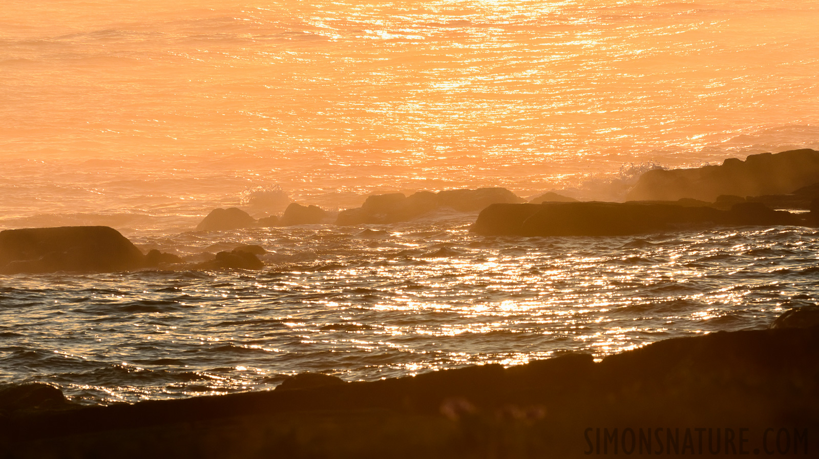 Coast west of Port aux Basques [400 mm, 1/3200 sec at f / 13, ISO 1600]